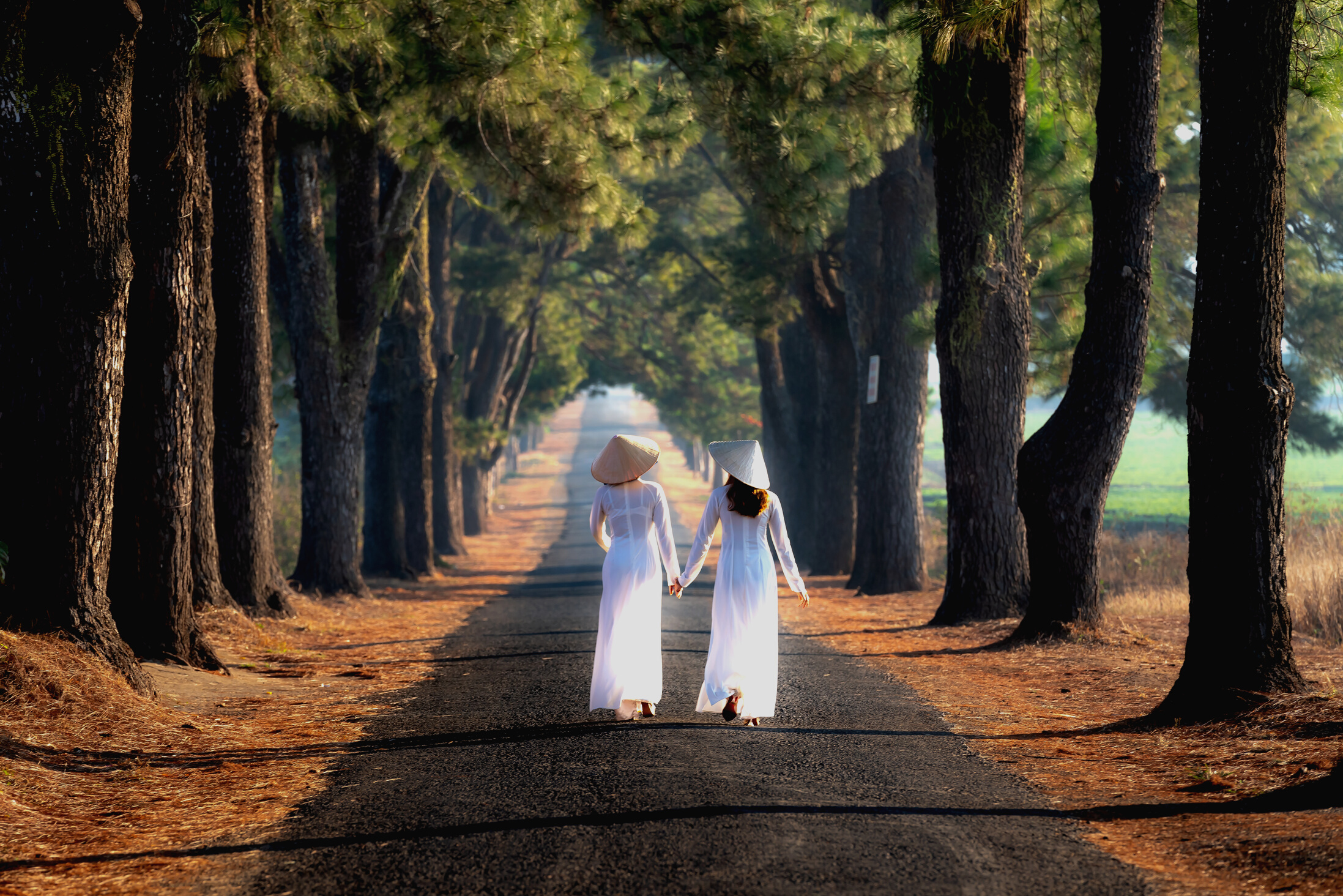 Women Wearing Ao Dai Walking in Park Holding Hands